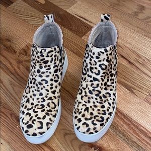 ferry leopard steve madden